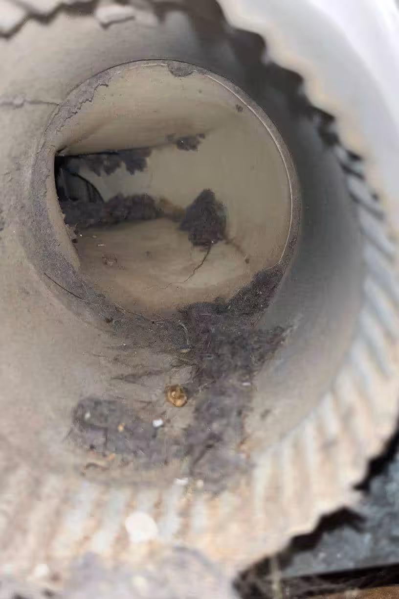 Dryer Vent Cleaning Service in Santa Monica, CA Dryer Vent Cleaning Service in Santa Monica, CA